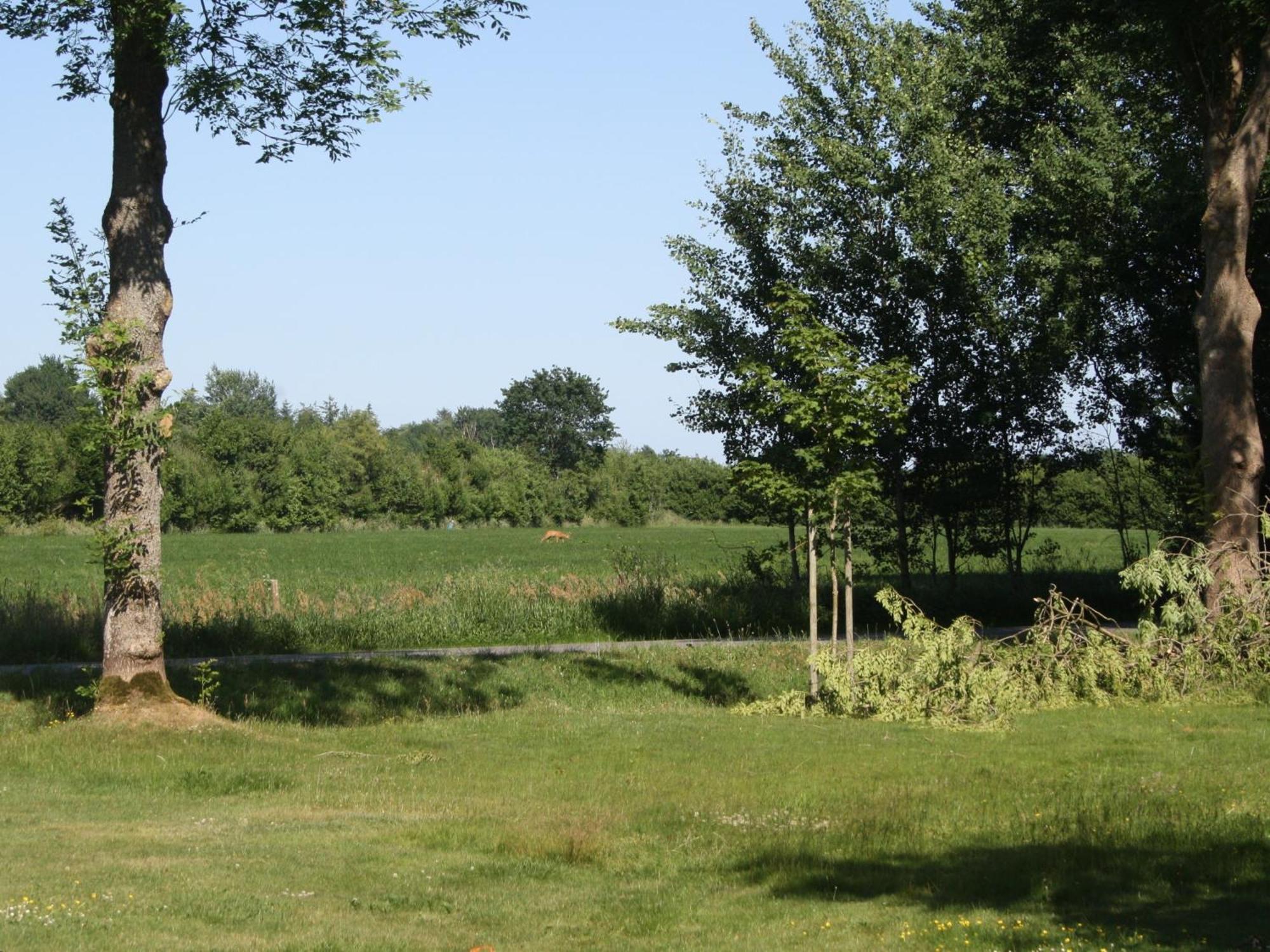 Detjens - Fewo In Ruhiger Lage Mit Terrasse Und Garten Ellingstedt Eksteriør billede